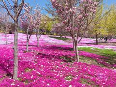 -乐悠游亲子游泳俱乐部