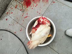 -肥仔濑尿虾(全球通总店)