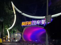 -枫花园汽车电影院(朝阳公园店)
