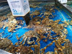-盒马鲜生(悦峰店)