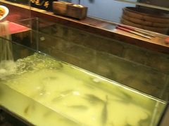 -杜婆鸡跳跳蛙(亿都店)