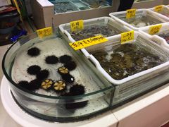 -老虎滩船说·海胆水饺·大连海鲜(老虎滩店)
