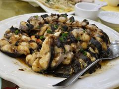 -鸿达渔港