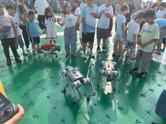 -泰达航母主题公园