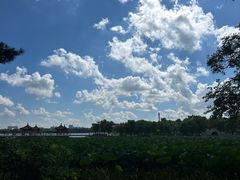 -长春市南湖公园