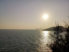 -广东惠东海龟国家级自然保护区