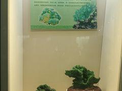 -安徽省地质博物馆