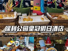 -成都保利公园皇冠假日酒店(熊猫基地店)