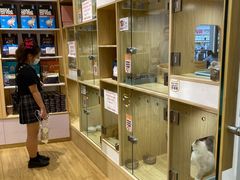 -屋虎猫馆(宝安大仟里店)