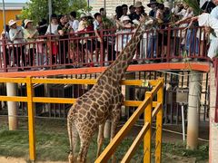 -西霞口神雕山野生动物世界