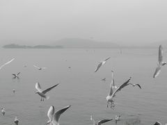 -蠡湖大桥公园