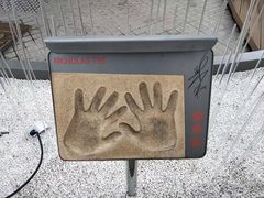 -星光大道