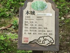 -神农架景区