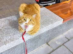 -情忆草原涮肉馆
