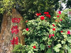 -四海楼(如皋定慧禅寺店)
