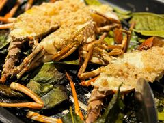 -陶缘一号·四季缘·老字号顺德菜·户外婚礼家宴(西滘店)