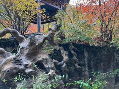 -本溪汤沟绿石谷森林公园