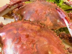 -鲜得莱渔港·小平岛海胆馆(七贤岭店)