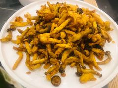 -东北农家小院(定西路店)