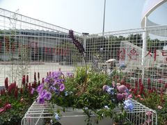 -深圳国际园林花卉博览园