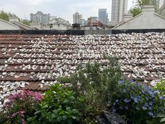 -普朗姆生蚝吧(原建国路店)
