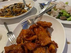 -食为先(Shark Fin)