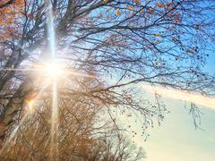 -塞罕坝国家级自然保护区