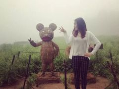 -广州市石门国家森林公园