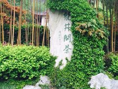 -十八棵（老龙井）御茶园(老龙井店)
