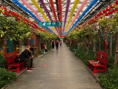 -南宫五洲植物乐园