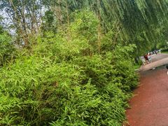 -西吴河科普公园