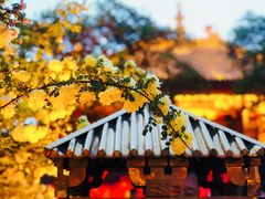 -五台山风景区