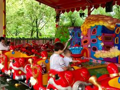 -美的鹭湖探索王国