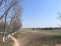 -汉长安城未央宫国家考古遗址公园