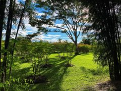 -中国科学院西双版纳热带植物园