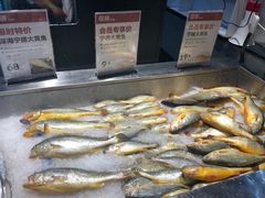 -盒马鲜生(曜一城店)