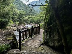 -百杖潭景区