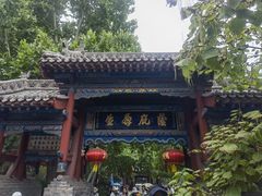 -大槐树寻根祭祖园