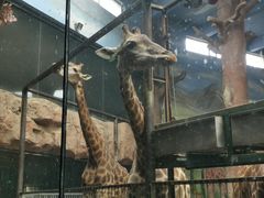 -鄂尔多斯野生动物园