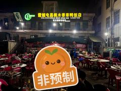 -霞姐屯昌枫木香草鸭店(海螺店)