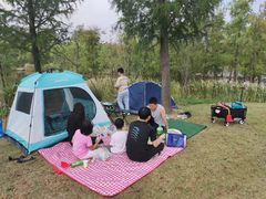 -上海长兴岛郊野公园