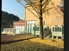 -重庆南山海昌汤都