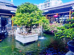 -猪肉婆私房菜(容桂总店)
