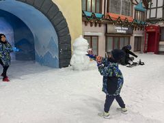 -世界之窗阿尔卑斯冰雪世界