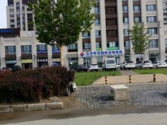 -欧奕国际动物医院