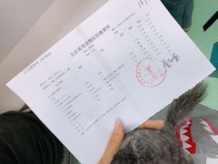 -北京观赏动物医院·24小时大型综合·猫专科·异宠专科