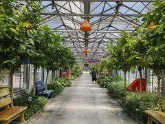 -南宫五洲植物乐园