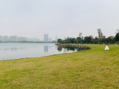 -桐乡凤凰湖