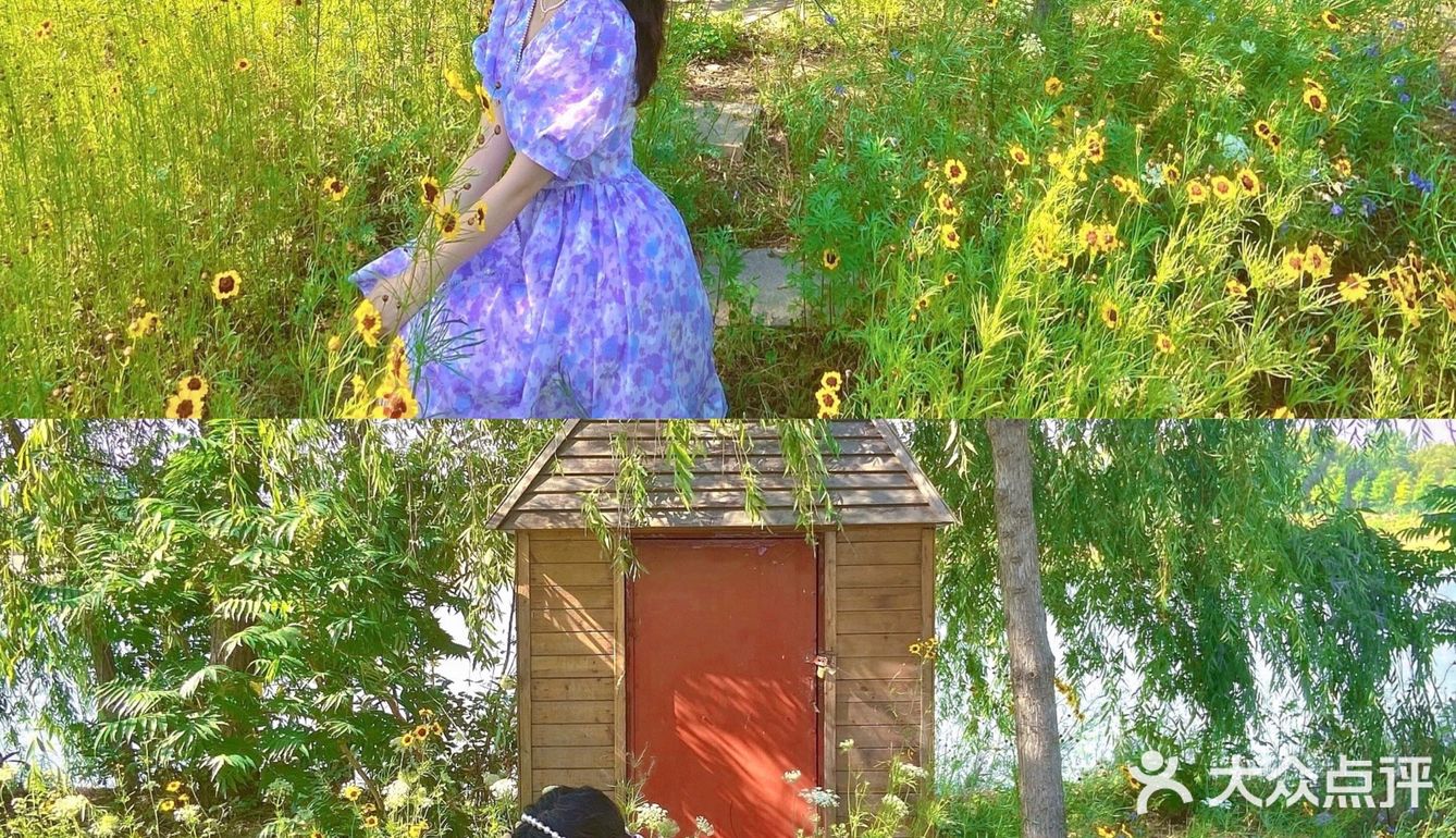 假期浪计划 | 双龙湖花花世界打卡拍照