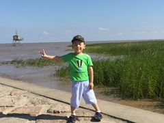 -南汇嘴观海公园